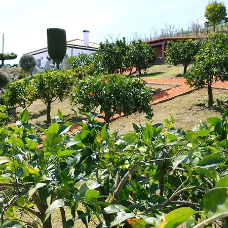 Quinta D'ouro | Porta Nova Peso da Régua